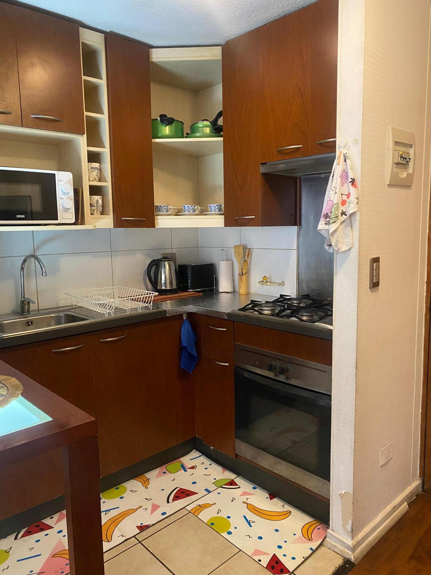 Alcantara Appartamento Santiago del Cile